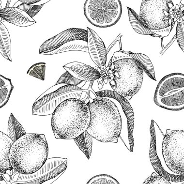 Elle çizilmiş kireç dalları, yarımlar ve dilimlerle kusursuz desen.