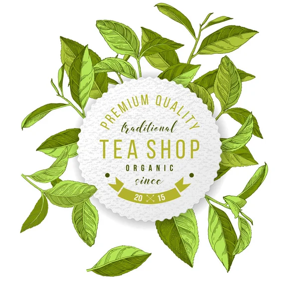 Emblema de la tienda de té con hojas de té dibujadas a mano — Vector de stock