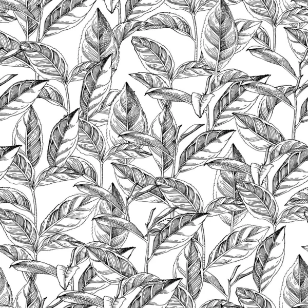 Seamless pattern with hand drawn tea leaves and branches — Stock Vector