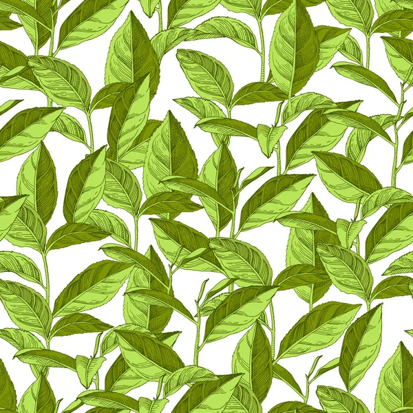 Motif sans couture avec des feuilles de thé dessinées à la main et des branches — Image vectorielle