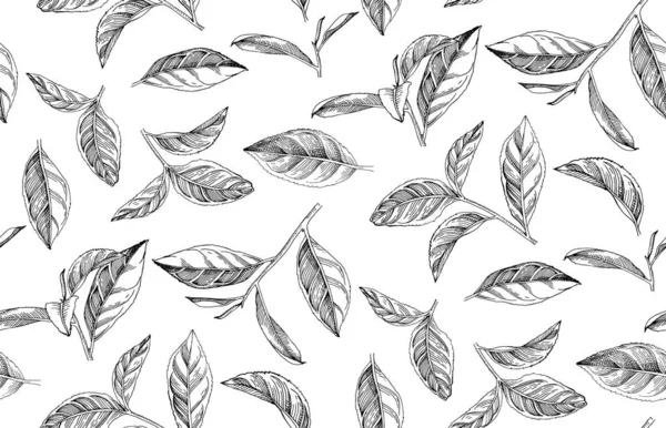 Seamless pattern with hand drawn tea leaves and branches — Stock Vector