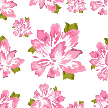 Şakayık beyaz arka plan üzerinde pembe, vektör. Bir çiçek çizimi