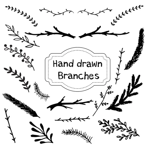 Serie di rami disegnati a mano. Illustrazione dell'inchiostro . — Vettoriale Stock