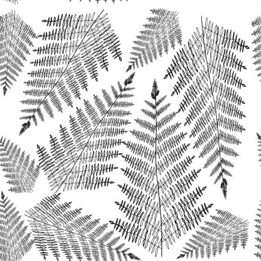 Fern yaprak siluetleri seamless modeli. Vektör çizim