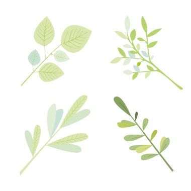 Vektör dalları ile bir dizi yaprakları