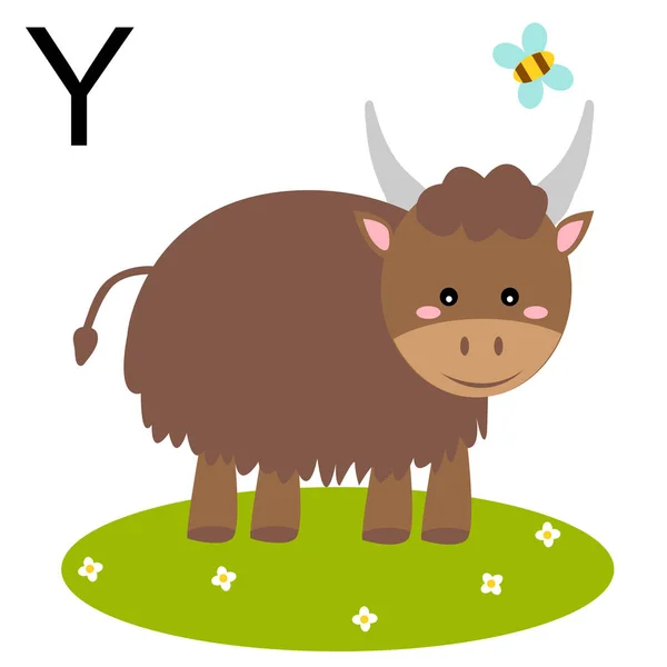 Τα ζώα. Τα παιδιά χρωματιστά γράμμα αλφαβήτου Y. Vector εικονογράφηση yak. — Διανυσματικό Αρχείο