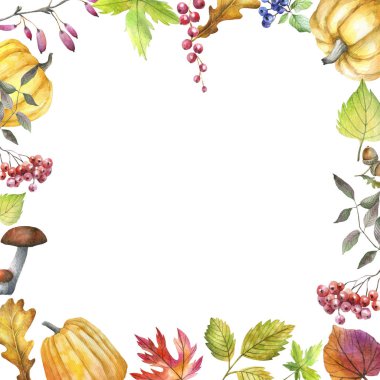 Sonbahar yaprakları ve böğürtlenler. Suluboya