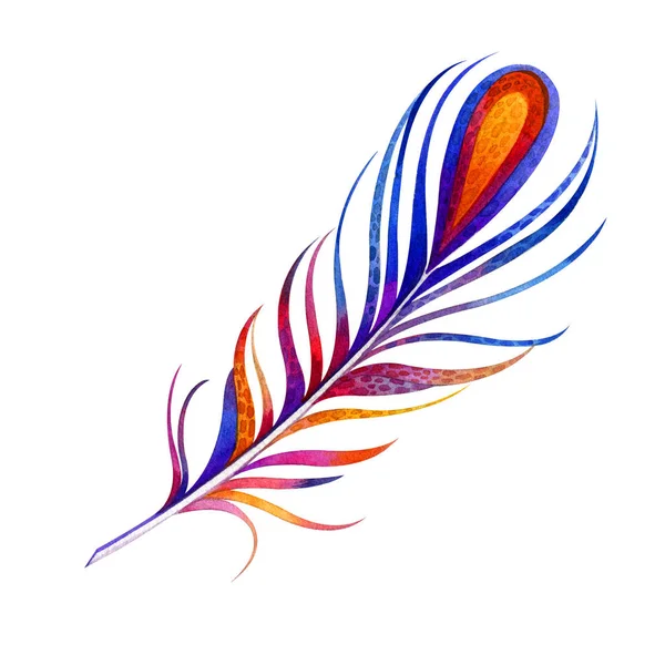 Feather Heat Birds Watercolor — Stock Photo, Image