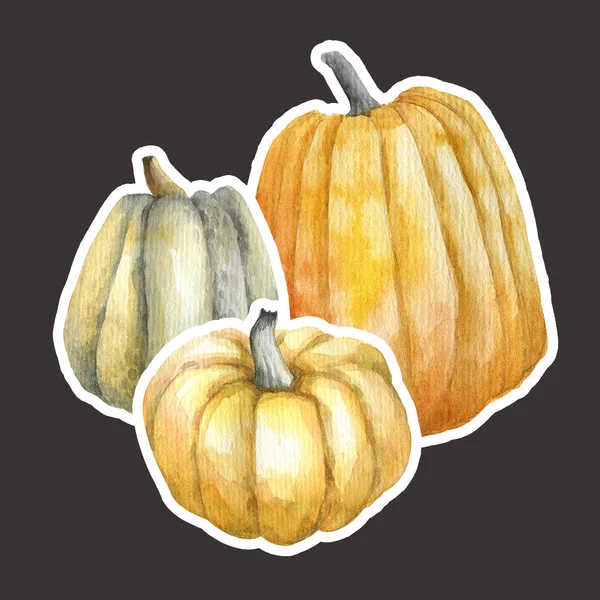 Big Ripe Pumpkins Watercolor — Stock Photo, Image