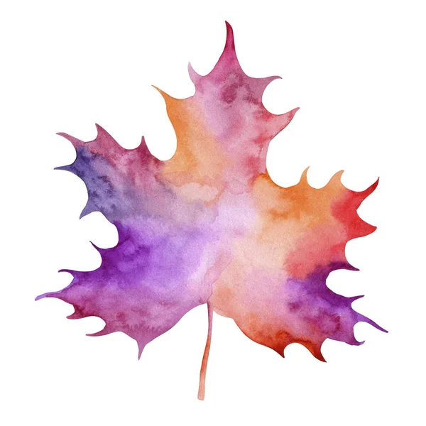 Maple Leaf Watercolor Drawing — Stock Photo, Image