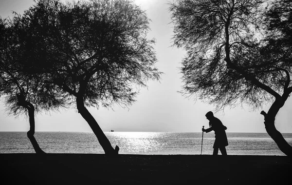 People and Trees. Elderly woman walking on a cane — Stock Photo, Image