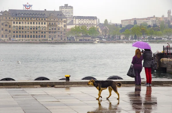 Procházky v dešti Istanbul parníku přístaviště lidí. — Stock fotografie