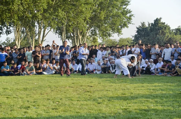 Istanbul'da Orta Asya Türkmen güreş