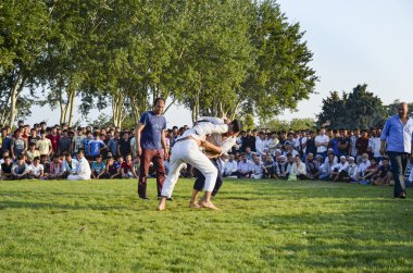 Istanbul'da Orta Asya Türkmen güreş
