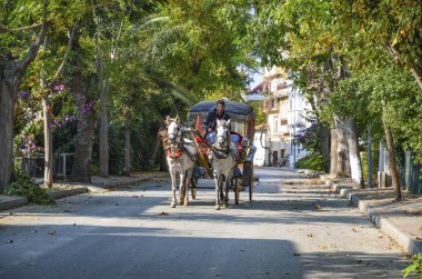 Phaeton Buyukada. At arabası
