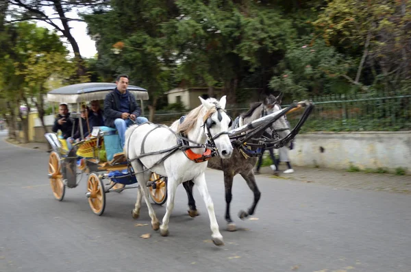 In the fall Buyukada Phaeton. Horse Carriage Royalty Free Stock Photos