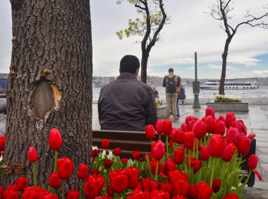  Istanbul, Beşiktaş İskele Meydanı. Lale sezon, daha güzel af