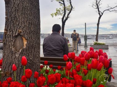  Istanbul, Besiktas Pier Square. Tulip season, more beautiful af clipart