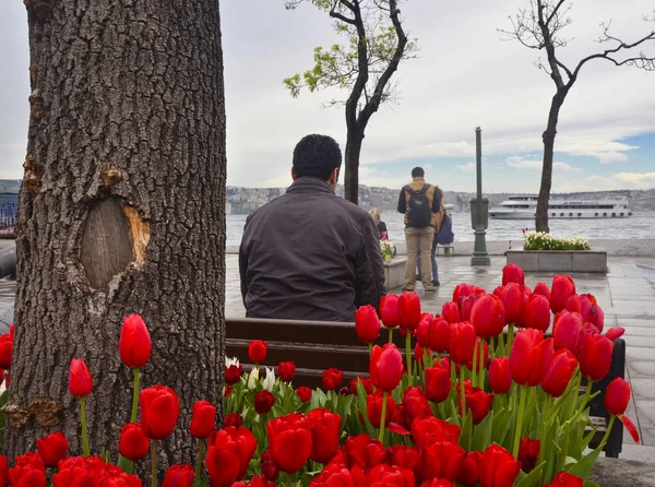 Istanbul, Pier von Besiktas. Tulpensaison, schöner — Stockfoto