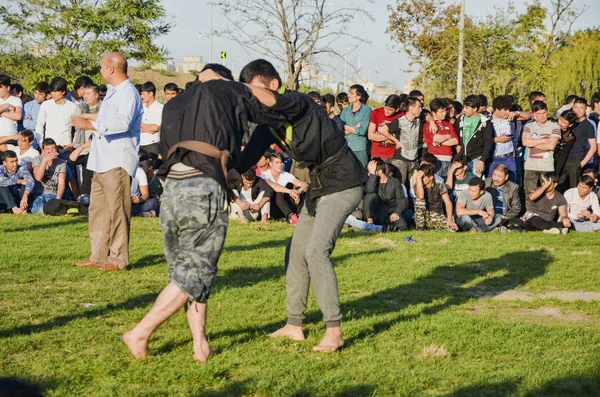 Orta Asya Türkmen çayır güreş Istanbul'da yapıldı