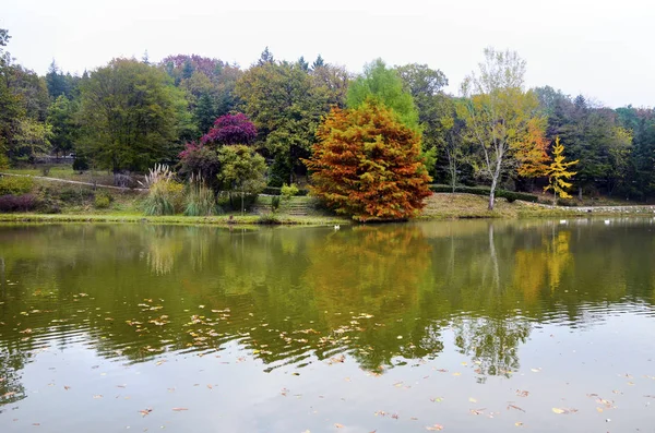 Осінні дерева навколо озера . — стокове фото
