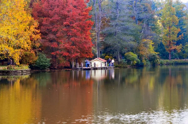 Atatürk Arborétum. A következő reptér környékén: lake őszi fák. — Stock Fotó