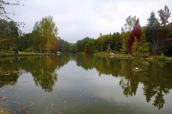 Atatürk Arboretum. Arbres d'automne autour du lac . — Photo
