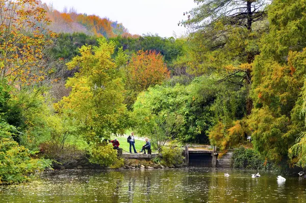 Ataturk Arboretum. Árboles de otoño alrededor del lago . — Foto de Stock