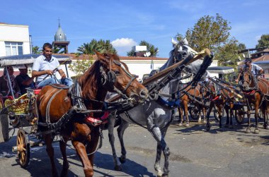 Phaeton at yolcu bekleme yeri