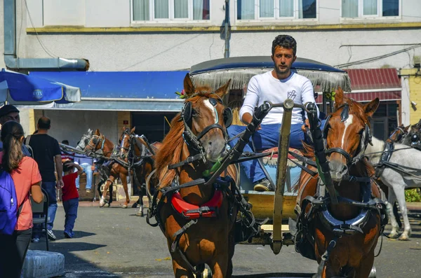 Phaeton at yolcu bekleme yeri