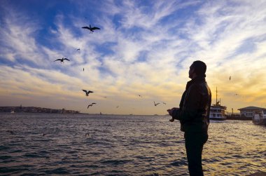 Sunset bulvarında bir adam yiyecek veren beach martılar