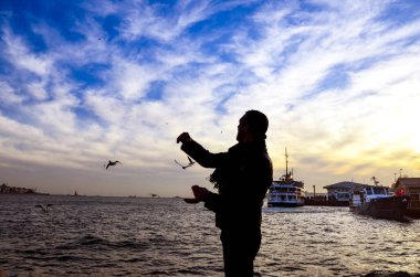 Sunset bulvarında bir adam yiyecek veren beach martılar
