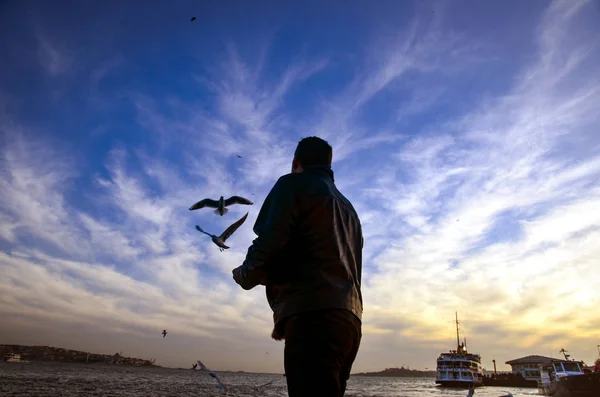 Sunset on the beach seagulls food-giving a man — Stock Photo, Image