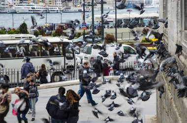 İnsanlar ve yeni Camii avlu etrafında güvercin
