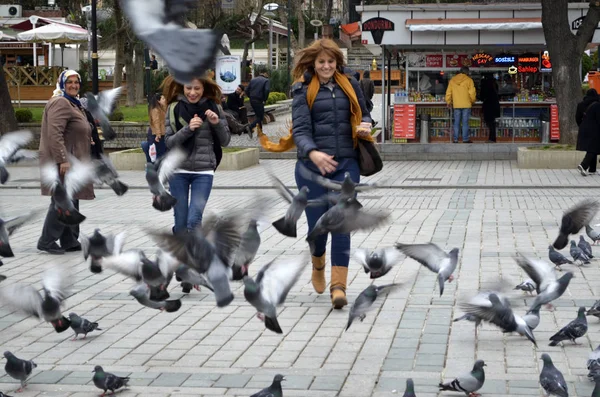 Кормление голубей на площади Султанахмет — стоковое фото