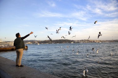 Sunset bulvarında bir adam yiyecek veren beach martılar