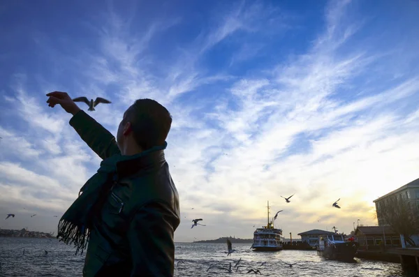 Pôr do sol na praia gaivotas comida-dando um homem — Fotografia de Stock