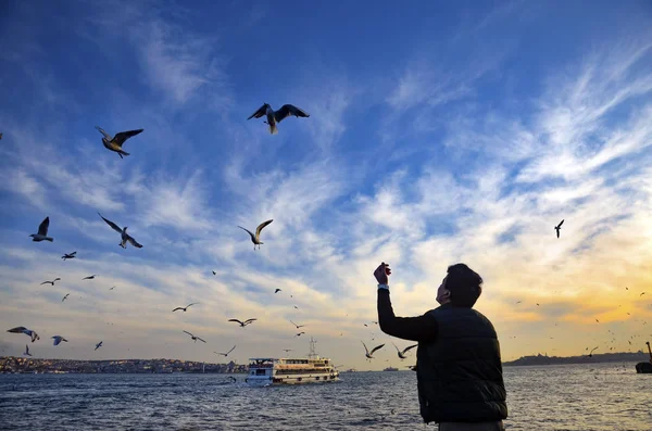 Sunset on the beach seagulls food-giving a man — Stock Photo, Image