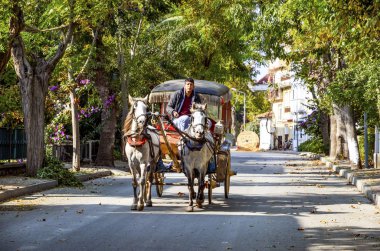 Buyukada Phaeton sonbaharda. At arabası