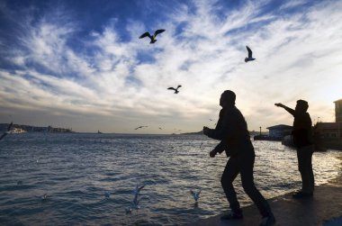 Sunset bulvarında bir adam yiyecek veren beach martılar