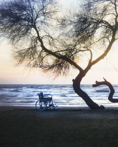 Naplemente, a strand fogyatékos kerekesszék — Stock Fotó