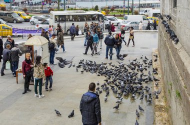 İnsanlar ve yeni Camii avlu etrafında güvercin