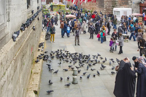 People and pigeons around the New Mosque courtyard — Stock Photo, Image