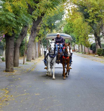 Buyukada Phaeton sonbaharda. At arabası