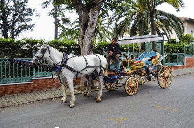Buyukada Phaeton sonbaharda. At arabası