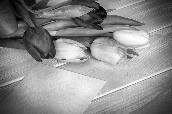 Kytice tulipánů a blahopřání — Stock fotografie