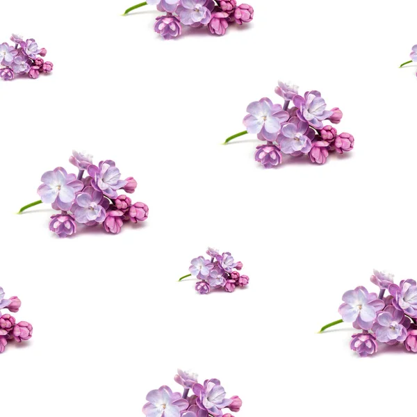 Naadloze achtergrond met lila bloemen op wit — Stockfoto