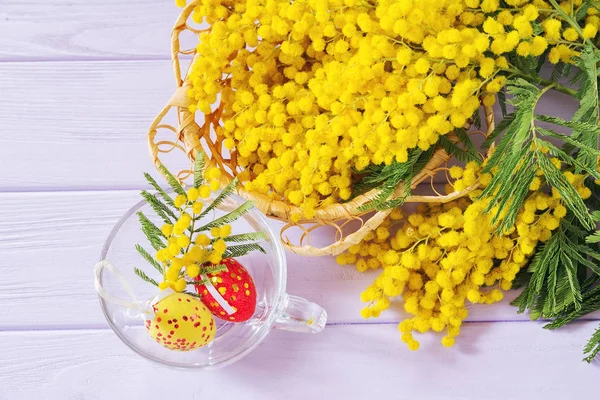 Mimoza çiçek çiçek ahşap arka plan üzerinde — Stok fotoğraf