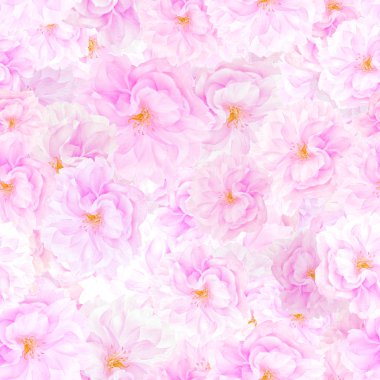 Sakura çiçekleri seamless modeli