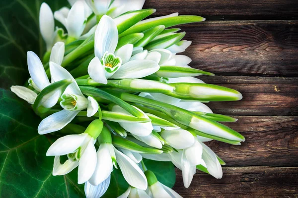 Sneeuwklokjes op houten achtergrond — Stockfoto